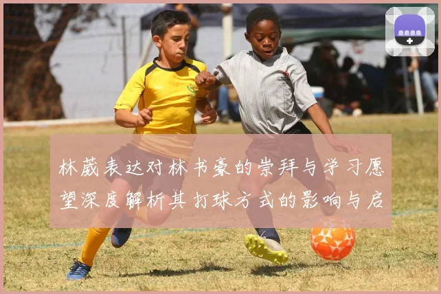 林葳表达对林书豪的崇拜与学习愿望深度解析其打球方式的影响与启发